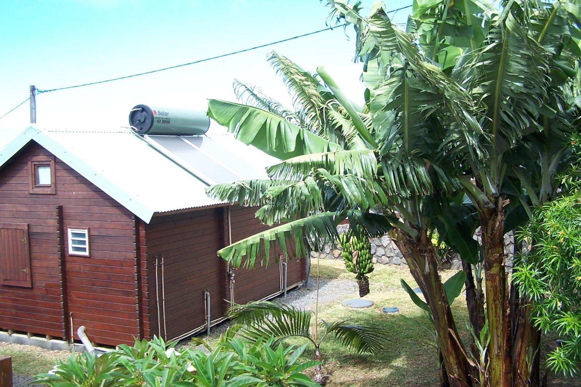 Les Bungalows Les Vanilliers, Sud Sauvage Avec Piscine Saint-Joseph Phòng bức ảnh