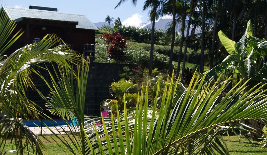 Les Bungalows Les Vanilliers, Sud Sauvage Avec Piscine Saint-Joseph Ngoại thất bức ảnh